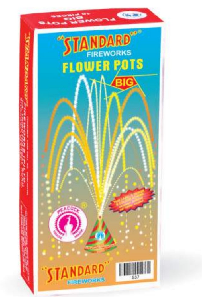 Big Flowerpot